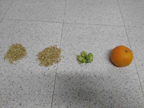 Un nuevo producto L'A se está preparando para este verano